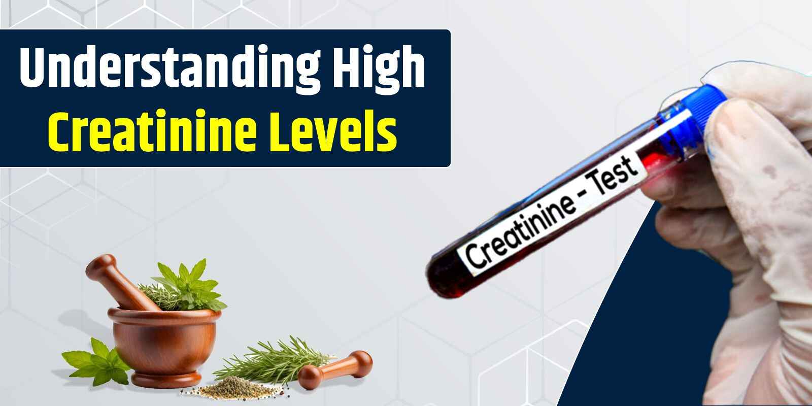 Understanding High Creatine Levels